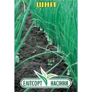 Шнитт - лук, 1 г семян, ТМ Элитсортсемена, Украина фото, цена